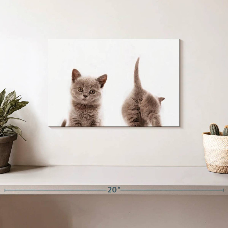 «Crowle Kitten» devant et derrière, H 8 po x l 12 po