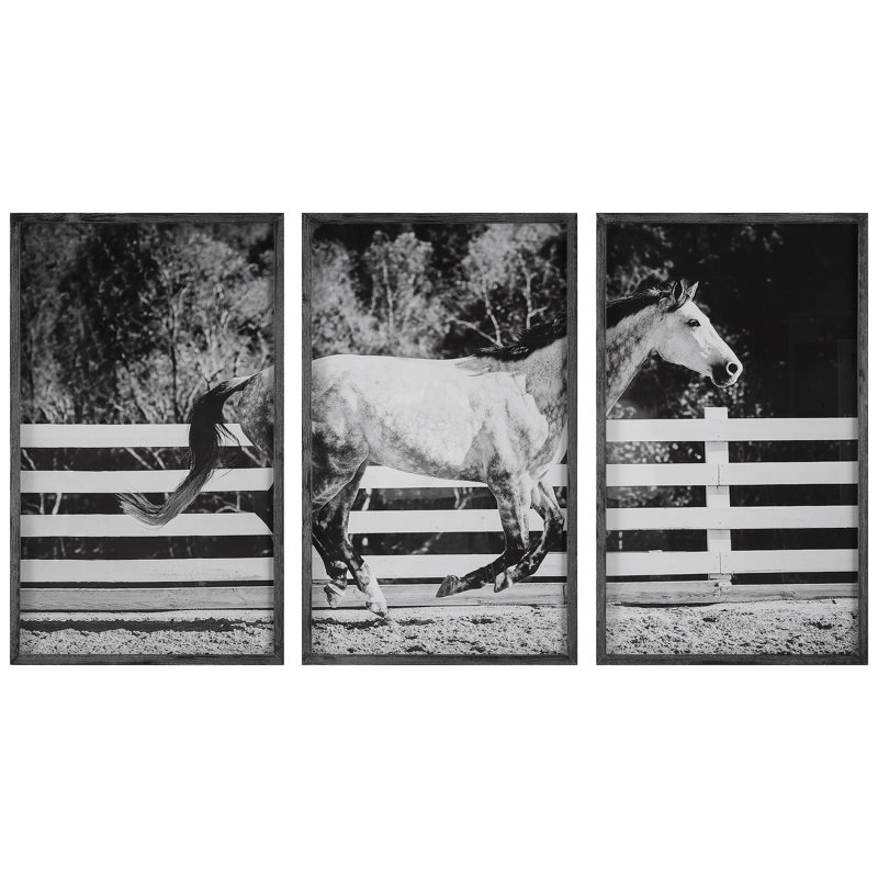 Galloping Forward Black and White Horse Print Set