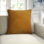 Passion Suede Pillow Cover & Insert-33066425-114598402