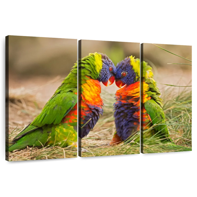 Brampt Rainbow Lorikeet Mates, 36" H x 57" W