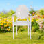 Clear Pastic Dining Chair