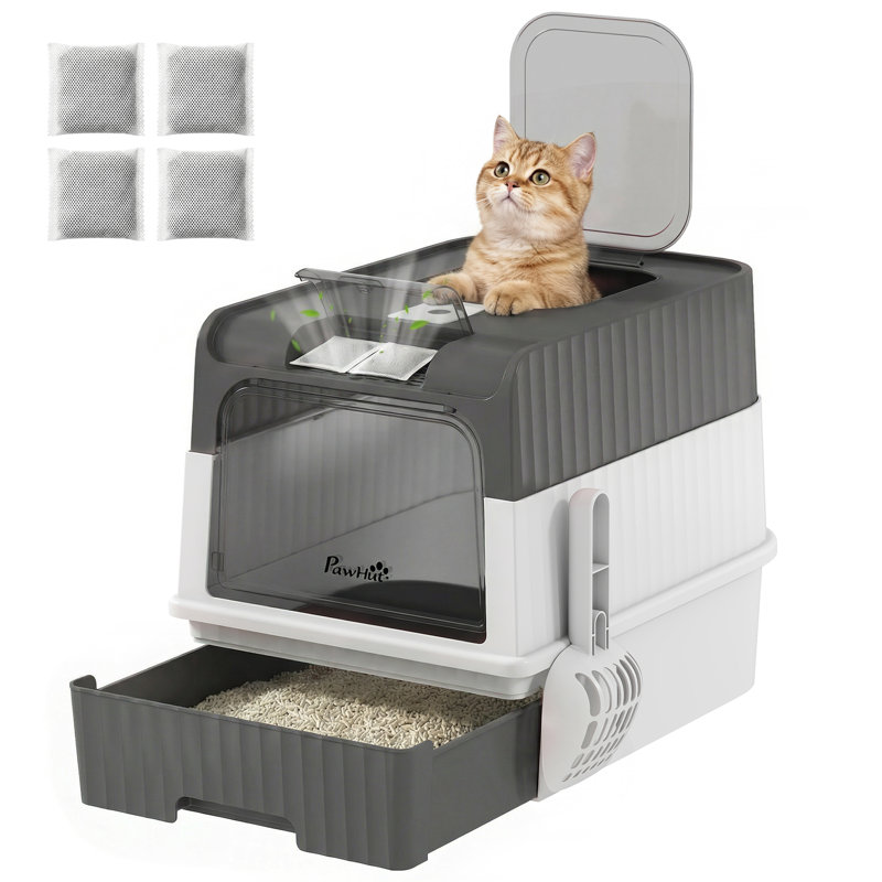 Cat Litter Box
