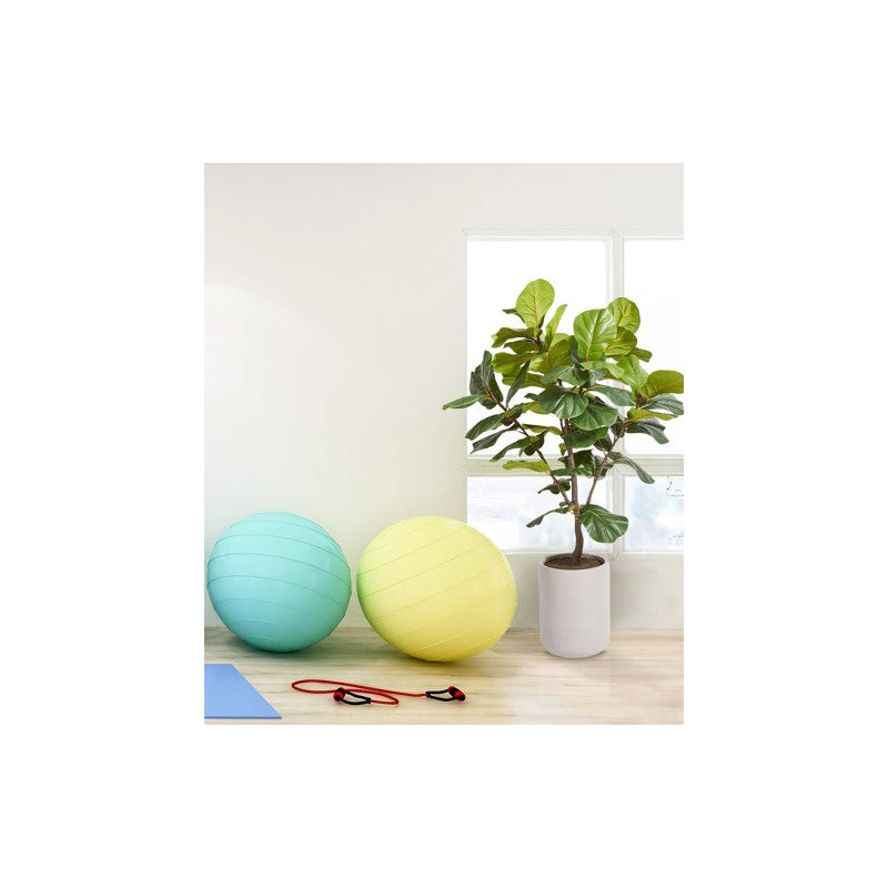 5FT Artificial Fig Tree KD