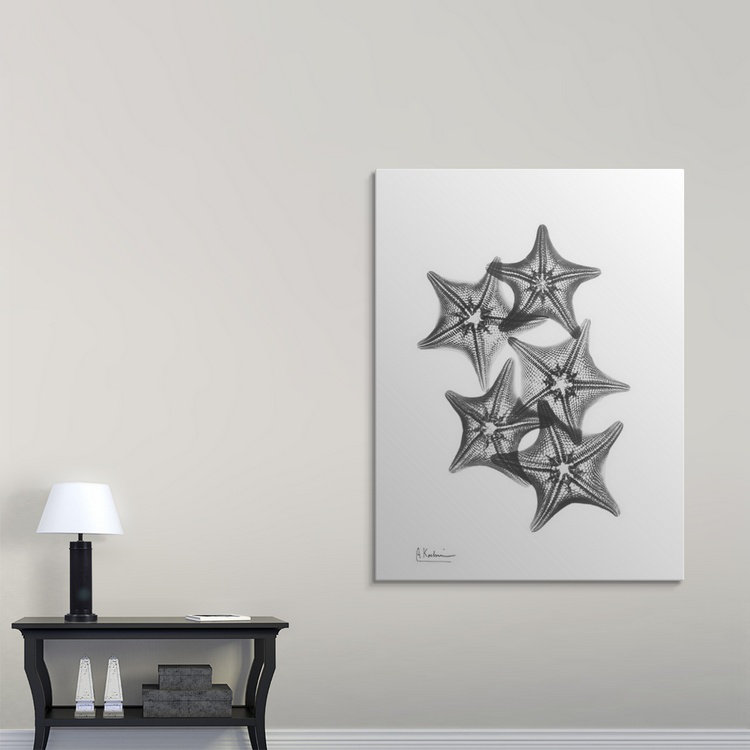 «Starfish IV X-Ray» par Albert Koetsier, reproduction de photo, H 36 po x l 27 po x 1,5 po, Toile