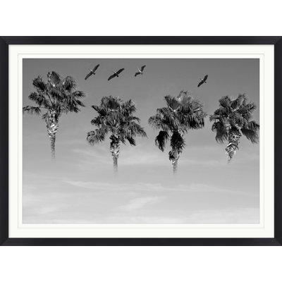 Flock Of Palms Print by Mat Sanders