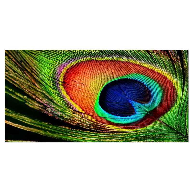 «Peacock Feather», impression, H 16 po x l 32 po x P 1 po, Toile tendue