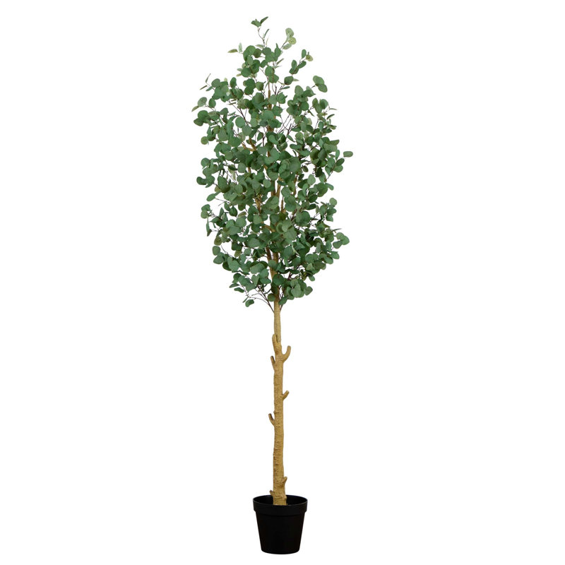 108 po Faux eucalyptus en pot