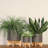 8" Planter W/ Wood Stand, Matte Gray-1307657787