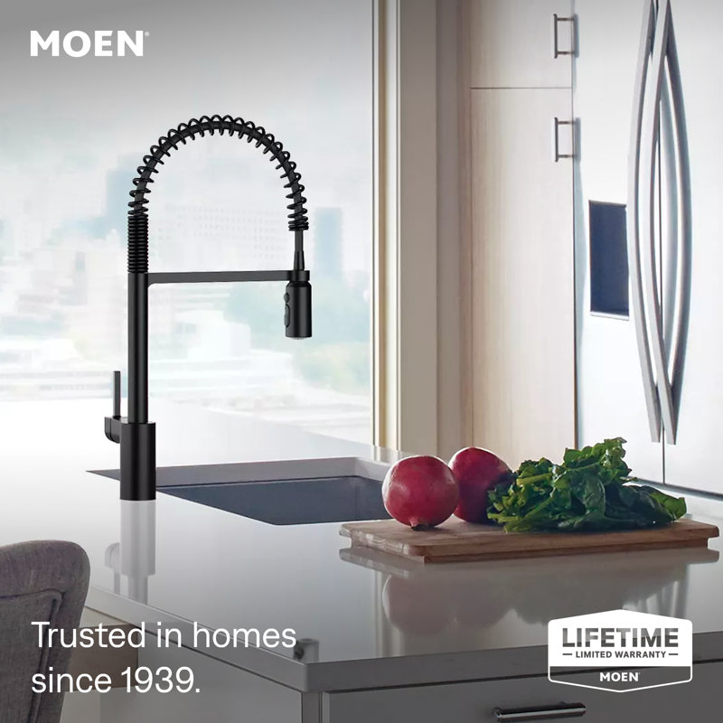 Align One Handle Spring Kitchen Faucet, Modern Single Hole Kitchen Sink Faucet Pulldown Sprayer, Matte Black