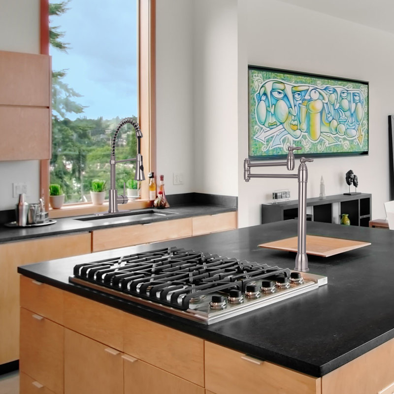 Akicon Kitchen Faucet Side Spray, Brushed Nickel