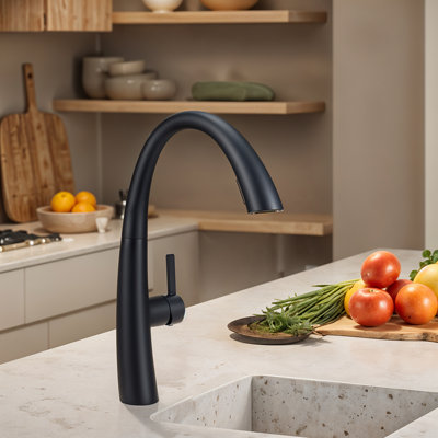 Belfry Kitchen Pull Out Kitchen Faucet