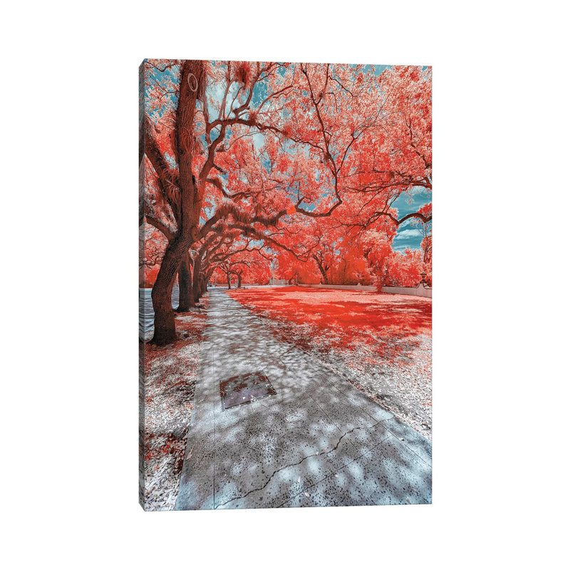 Miami Infrared Iv 1 Piece Wrapped Canvas Wall Art, 30.48 cm H x 45.72 cm W