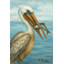 Art mural sur toile Coastal Pelican-415008794