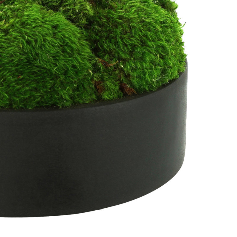 Nature's Nostalgia 8'' Moss Plant in Fiberstone Planter, Black