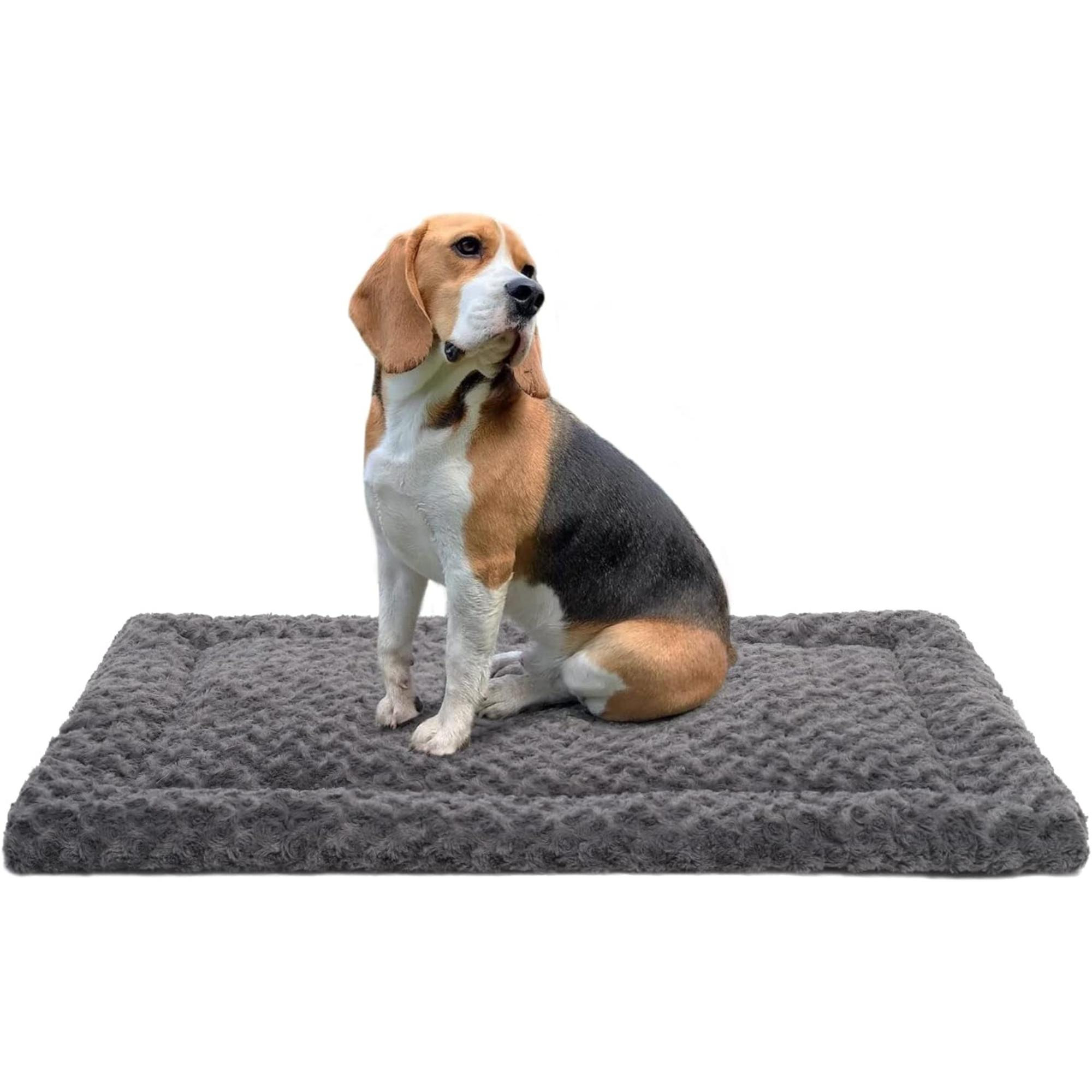 Visual Reference: Tucker Murphy Pet Washable Dog Bed Mat Reversible Dog Crate