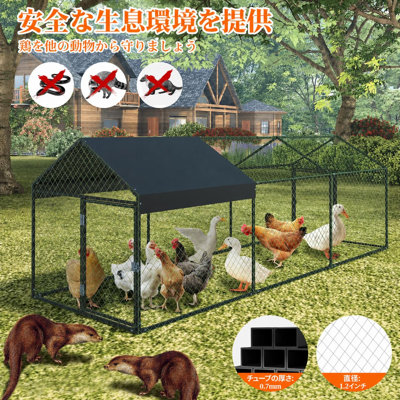Chicken Coop