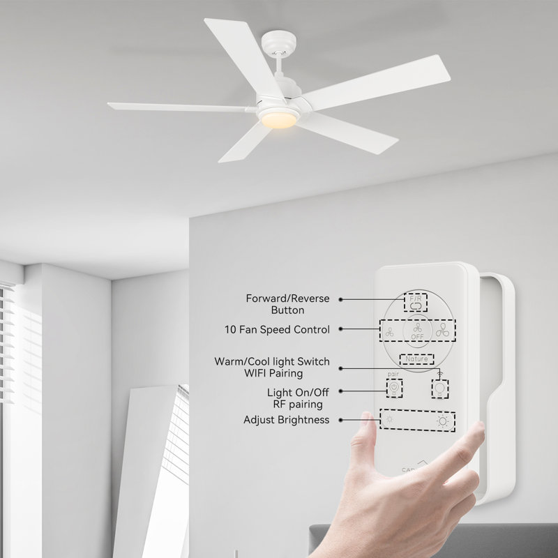 56" 5 - Blade LED Smart Ceiling Fan with Light, White, White