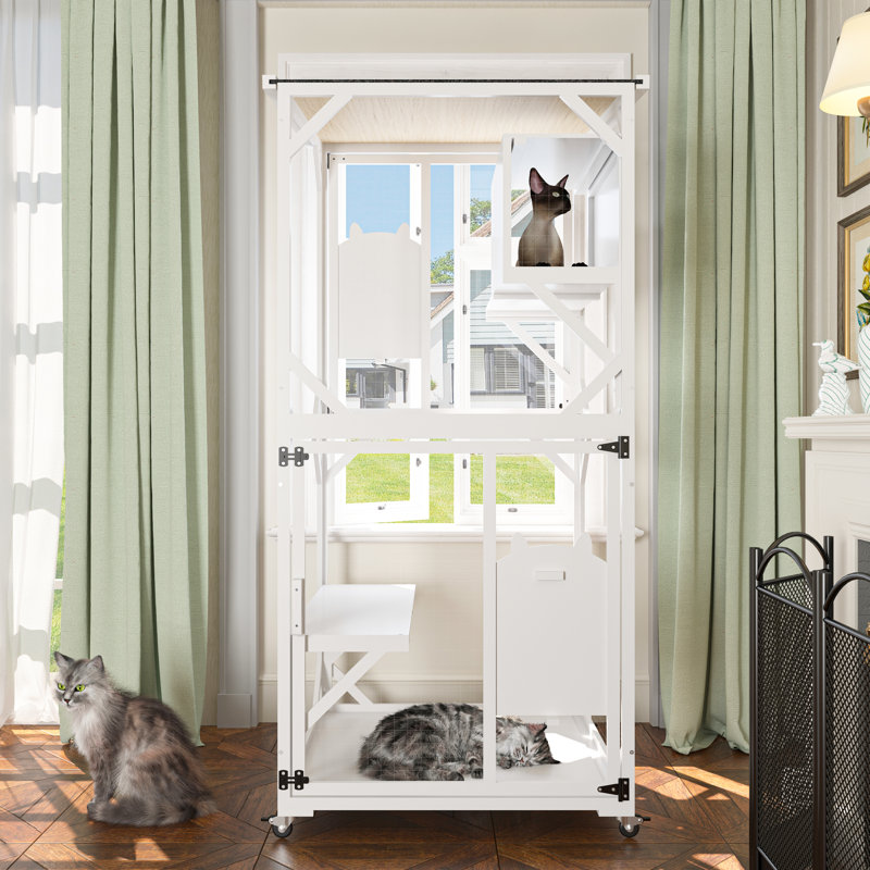 Cat Playpen Outdoor Cat Enclosures
