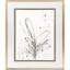 Floral Splash II Print by The Studio Paragon