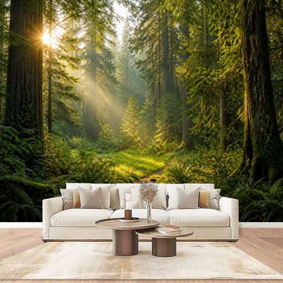 Papier peint mural autocollant « Chemin forestier ensoleillé », grands arbres et feuillage vert, décoration murale moderne pour chambre ou salon, 254 cm (L) x 366 cm (l).