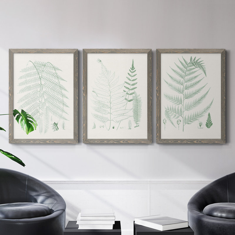 Verdure Ferns I - ensemble de 3 peintures sur toile encadrées, H 37,5 po x l 82,5 po x P 1,5 po, Gris
