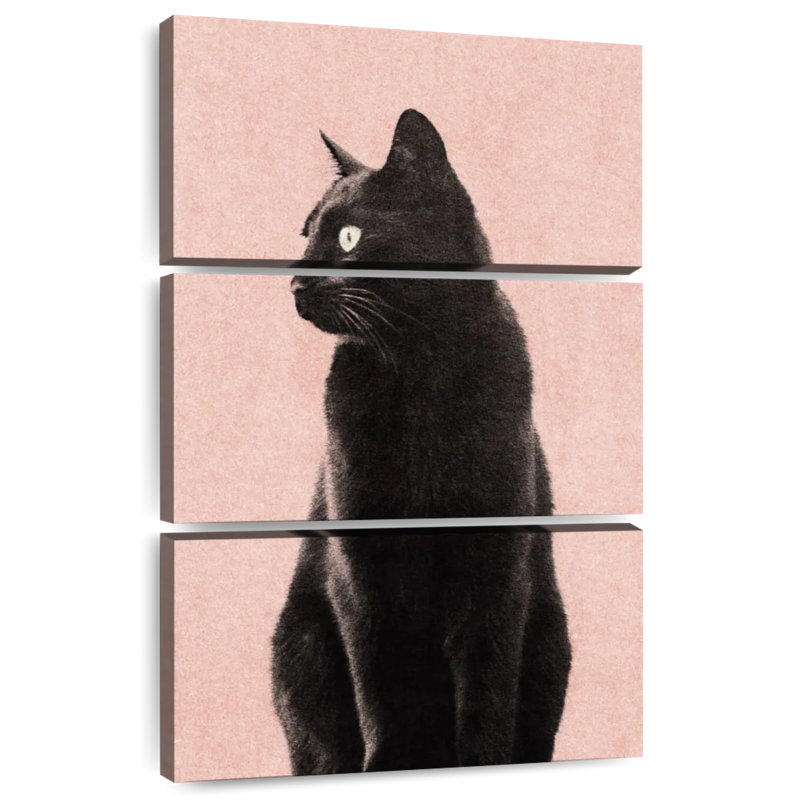 Brampt Black Cat Peach