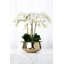 Orchid Floral Arrangements in Planter