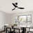 42" 3 - Blade LED Standard Ceiling Fan with LED Light & Remote Control-964816700-944439882