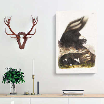 American Skunks - Wrapped Canvas