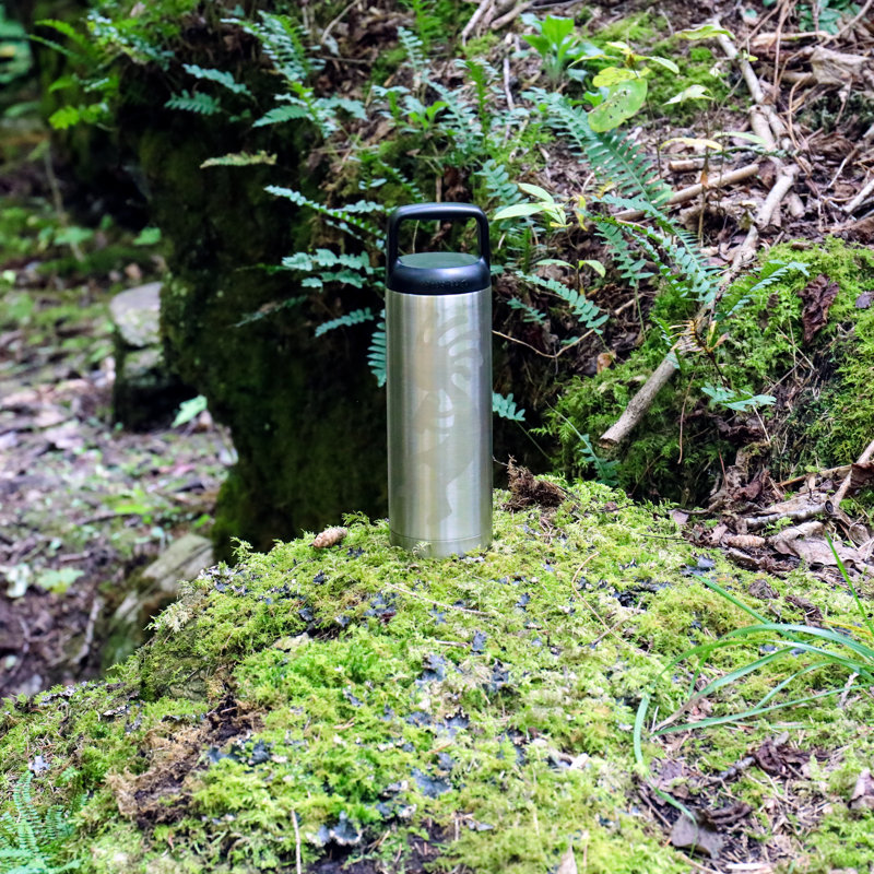 Bouteille d'eau en acier inoxydable 18 oz Aquapelli, Argent / noir