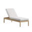 Chaise Lounge-1451815112