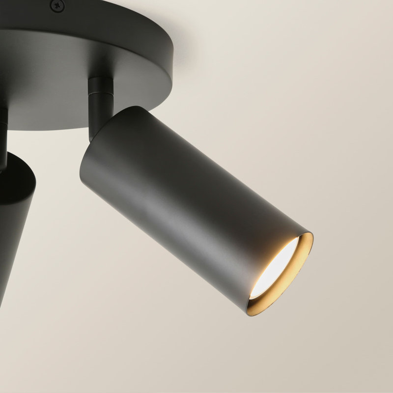 Taylor  Tube Single Adjustable Ceiling Spotlight, 3, Black