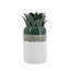 Vase au design contemporain