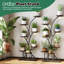 Plant Stand 8 Tier Set of 8