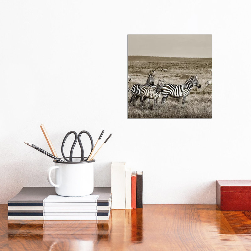 United Zebra Family by Klaus Tiedge - Wrapped Canvas Print, 30.48 cm H x 30.48 cm W