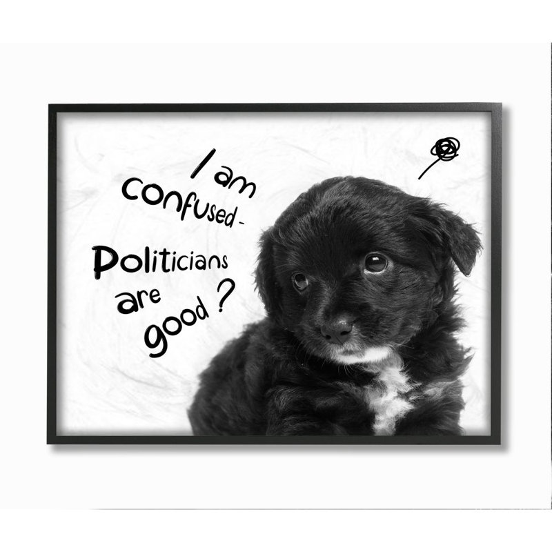 « Political Puppy »-impression de photo, Giclée encadrée noir minuit, H 16 po x l 20 po