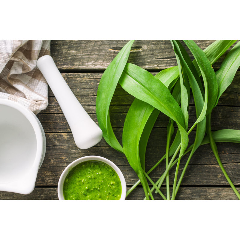 Fresh Ramsons Leaves - Wrapped Canvas Print, 51cm H x 76cm W x 3.8cm D
