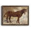 Cheval occidental I - cadre photo, impression sur toile-1565770809-1565770814