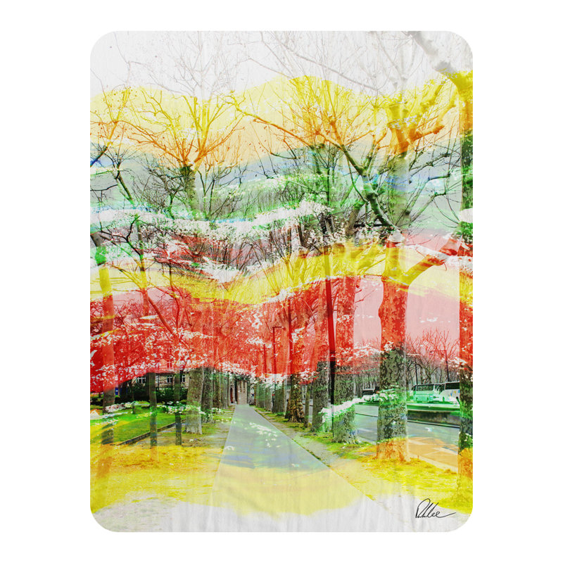 Reidy Quilted Throw Blanket