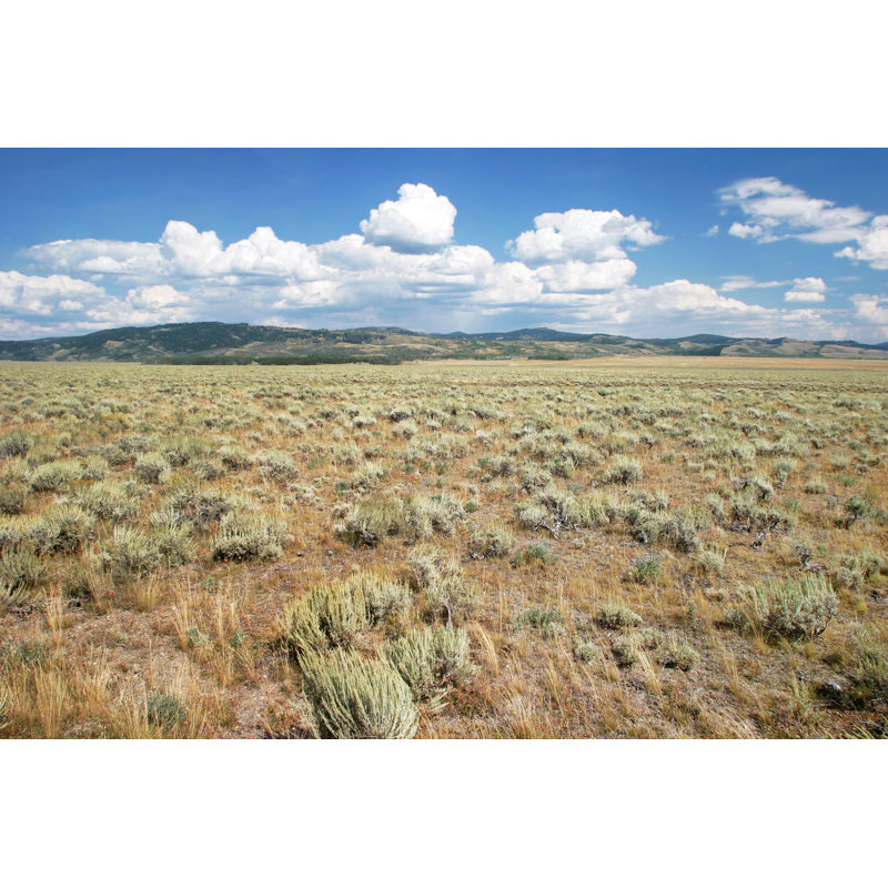 Cloudy Blue Skies by Terraxplorer - No Frame Print on Canvas, 61cm H x 91cm W