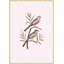 Nesting Navigators Pink 4 Print-1278315647
