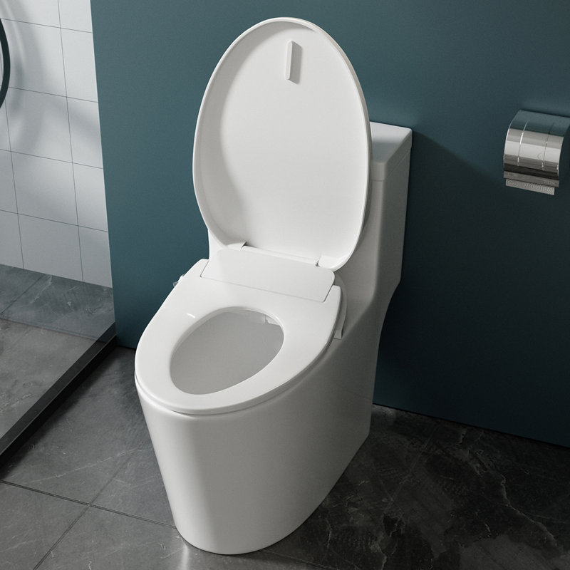 Siège de bidet allongé à deux buses