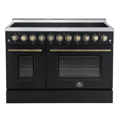 Paolo 48 Inch Electric Range Black
