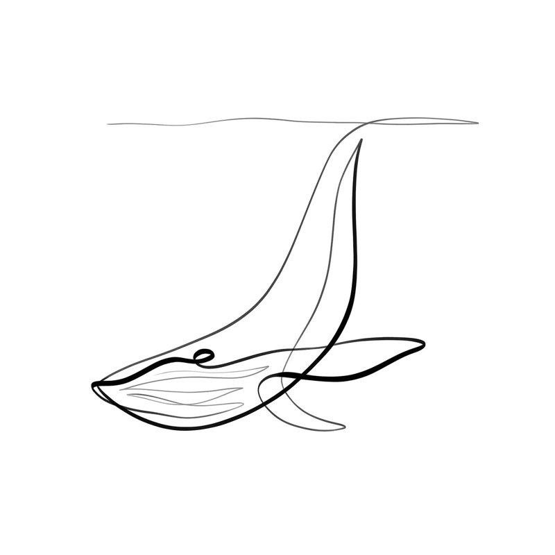 Humpback Whale I by Dane Khy - Wrapped Canvas Gallery-Wrapped Canvas Giclée, 66.04 cm H x 66.04 cm W