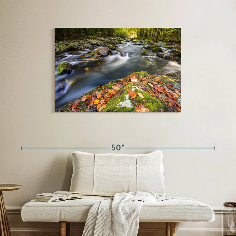 Ruisseau Alvord Smoky Mountains