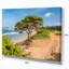 «Green Tree on Beach in Kauai Hawaii», reproduction de photo sur toile tendue-18267650
