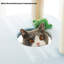 Arbre à chat multifonctionnel mignon et amusant