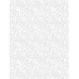 The Blush Label Marble Premium Matte 10' L x 24" W Wallpaper Roll