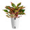 Foliage Plant in Planter