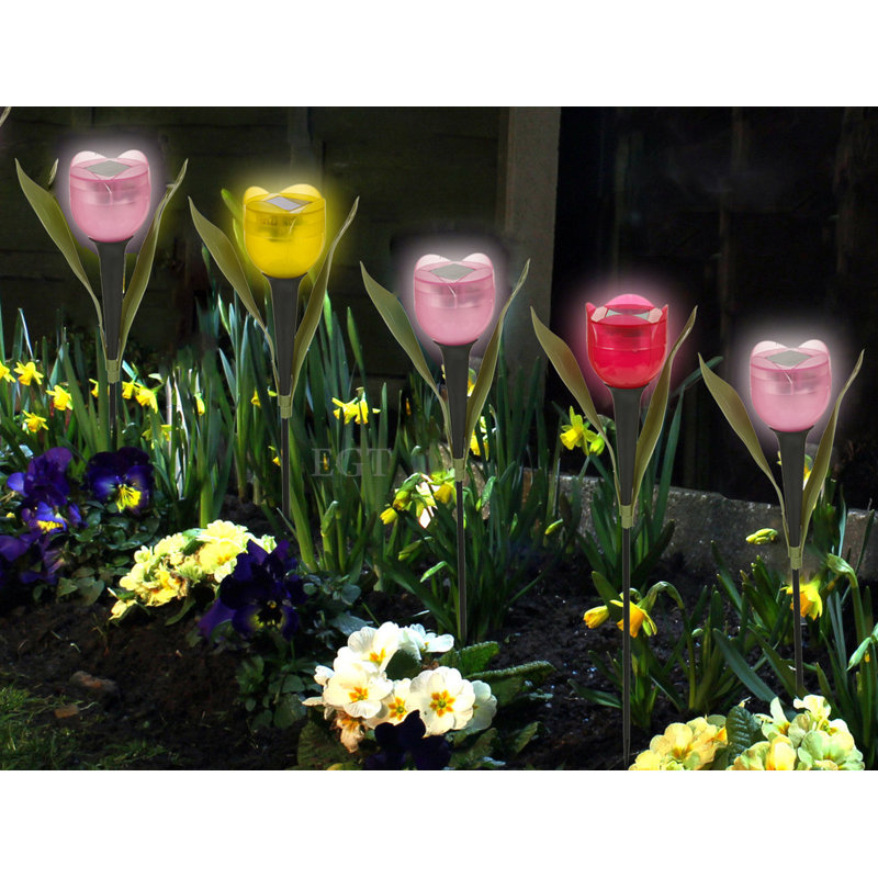 Amariae Plastic Solar Powered Pathway Lights